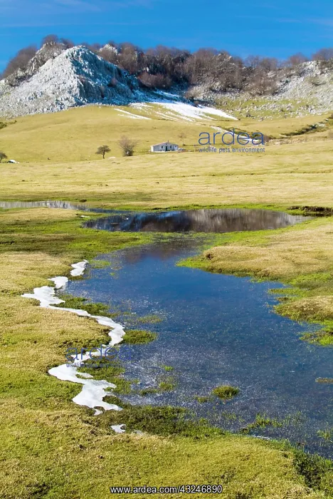 : Gorbea Natural Park. Campas de Araba. Biscay : Gorbea Natural Park. Campas de Araba. Biscay