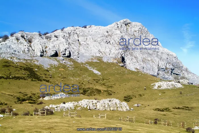 : Gorbea Natural Park. Lekanda mount. Biscay : Gorbea Natural Park. Lekanda mount. Biscay