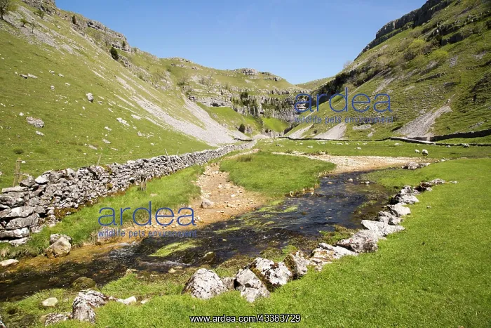  : Gordale Scar carboniferous limestone gorge, Yorkshire