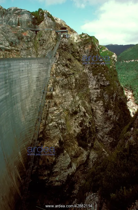 : Gordon Dam detail of the dam wall : Gordon Dam detail of the dam wall