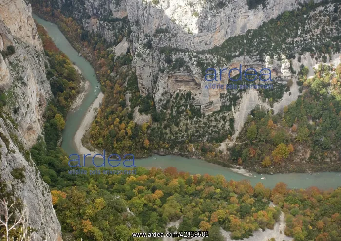 : Gorge du Verdon, Provence-Alpes, in autumn : Gorge du Verdon, Provence-Alpes, in autumn
