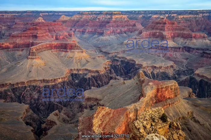 : Gorge of the Grand Canyon, Colorado River, view : Gorge of the Grand Canyon, Colorado River, view