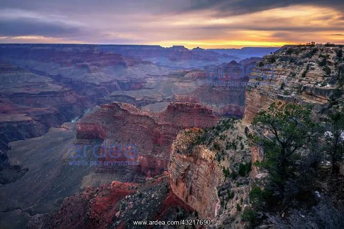 : Gorge of the Grand Canyon at sunrise, Colorado River : Gorge of the Grand Canyon at sunrise, Colorado River