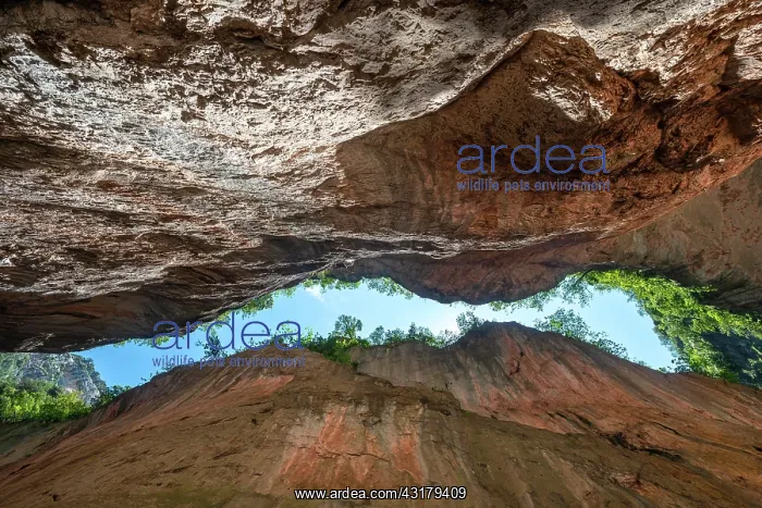 : Gorge, view upwards, red rock walls of the Garganta : Gorge, view upwards, red rock walls of the Garganta