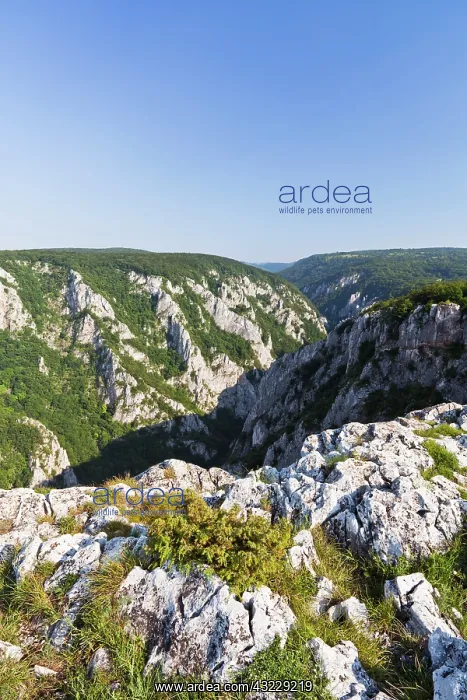 : The gorge of Zadiel in the Slovak karst : The gorge of Zadiel in the Slovak karst