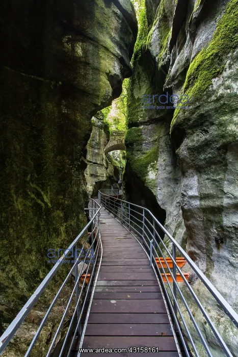 : The Gorges of Fier - Lovagny - Upper Savoy - France : The Gorges of Fier - Lovagny - Upper Savoy - France