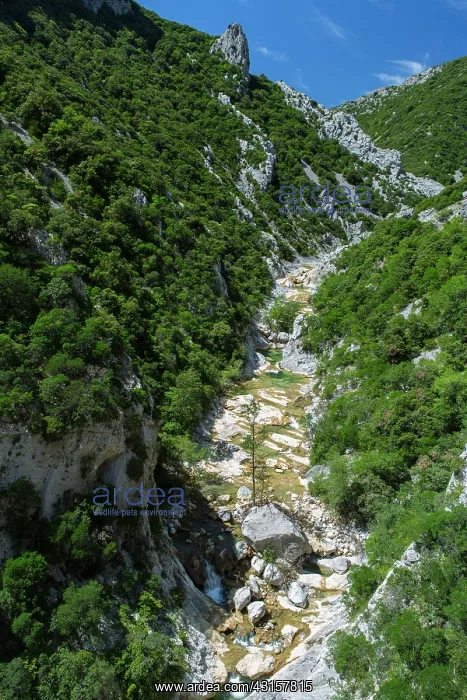 : Gorges Galamus - Cubieres sur Cinot (Aude) and Saint : Gorges Galamus - Cubieres sur Cinot (Aude) and Saint