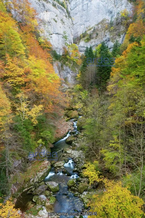 : Gorges de La Bourne, in the Vercors Mountains, Autumn : Gorges de La Bourne, in the Vercors Mountains, Autumn