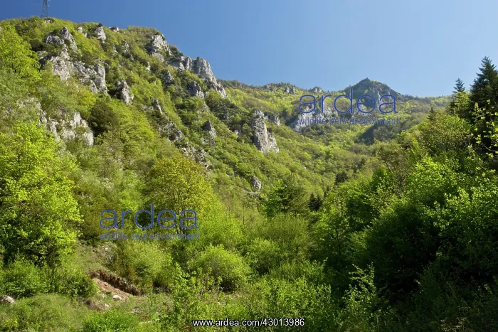: The Gorges de St George Limestone hills above Axat : The Gorges de St George Limestone hills above Axat