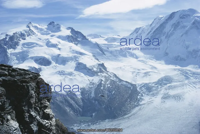 : Gorner Glacier : Gorner Glacier