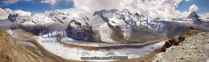 : the Gornergletscher glacier viewed from Gornergr : the Gornergletscher glacier viewed from Gornergr