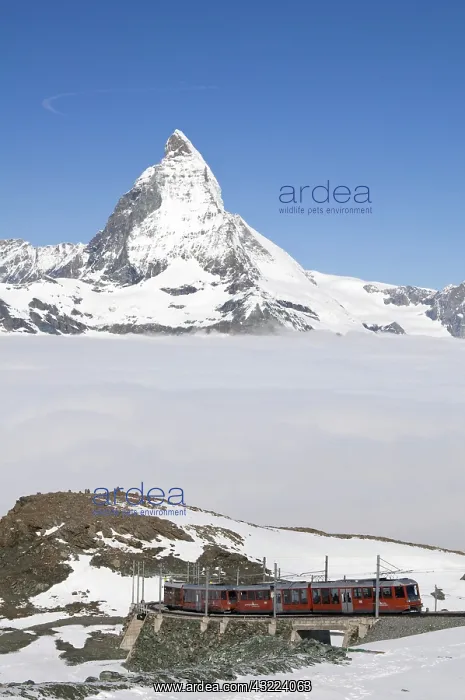 : Gornergrat Peak, Switzerland. Matterhorn : Gornergrat Peak, Switzerland. Matterhorn