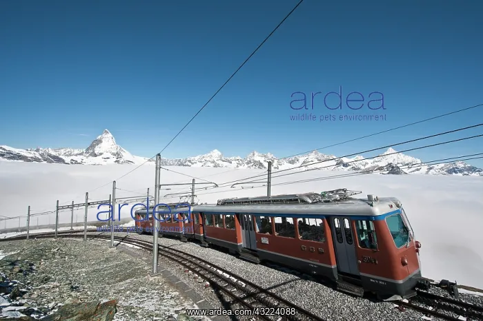 : Gornergrat Peak, Switzerland. Matterhorn : Gornergrat Peak, Switzerland. Matterhorn