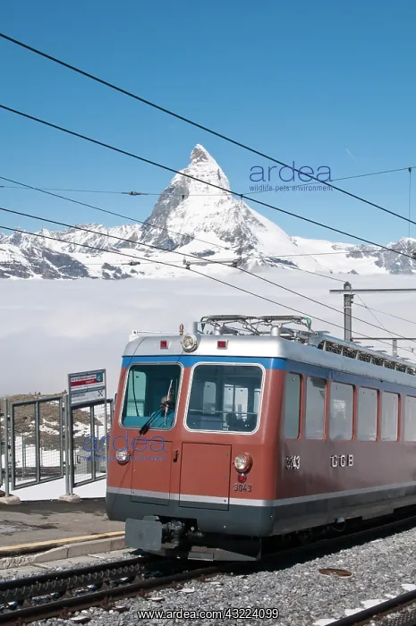 : Gornergrat Peak, Switzerland. Matterhorn : Gornergrat Peak, Switzerland. Matterhorn