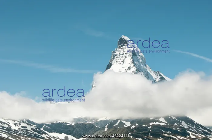 : Gornergrat Peak, Switzerland. Matterhorn : Gornergrat Peak, Switzerland. Matterhorn