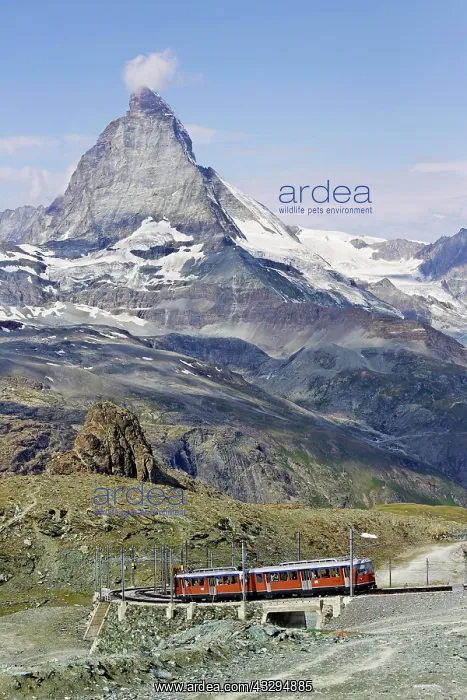 : Gornergrat railway in front of Matterhorn, Monte : Gornergrat railway in front of Matterhorn, Monte