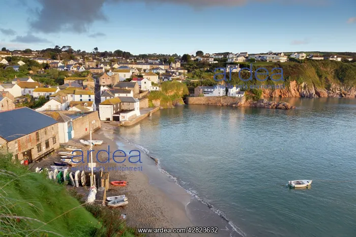 : Gorran Haven - Early Morning : Gorran Haven - Early Morning