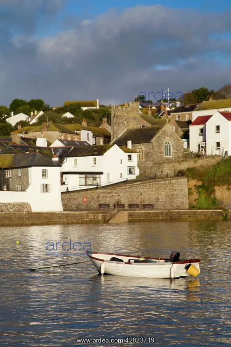 : Gorran Haven - Early Morning : Gorran Haven - Early Morning
