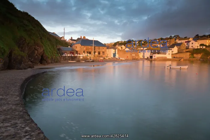 : Gorran Haven - Early Morning : Gorran Haven - Early Morning
