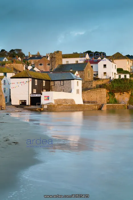 : Gorran Haven - Early Morning : Gorran Haven - Early Morning