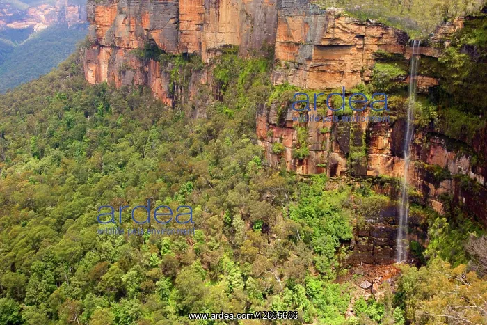 : Govetts Leap - high waterfall and red cliffs : Govetts Leap - high waterfall and red cliffs