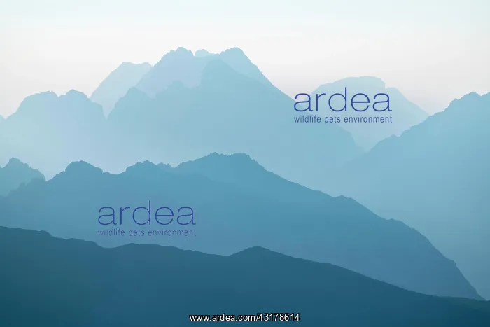 : Graduation of peaks of the Lechtal Alps at the blue : Graduation of peaks of the Lechtal Alps at the blue