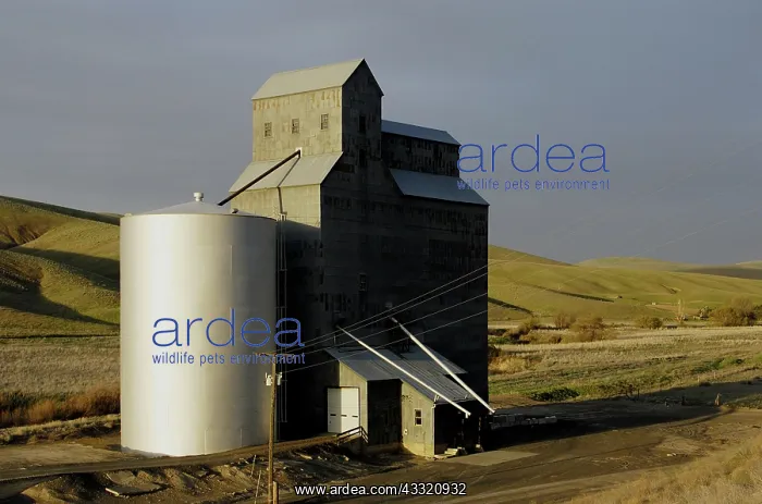 : Grain Elevator Silo Pomeroy, Washington : Grain Elevator Silo Pomeroy, Washington