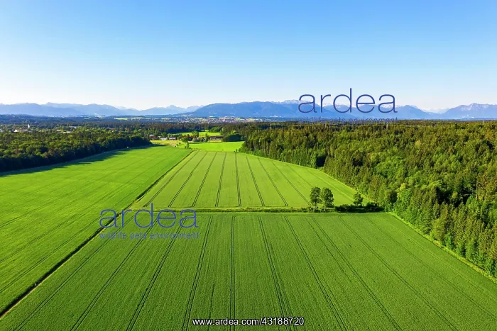 : Grain fields, cultural landscape near Geretsried