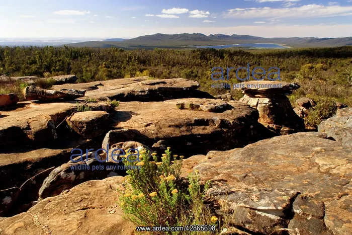 : Grampian mountain view - view from Reeds Lookout : Grampian mountain view - view from Reeds Lookout