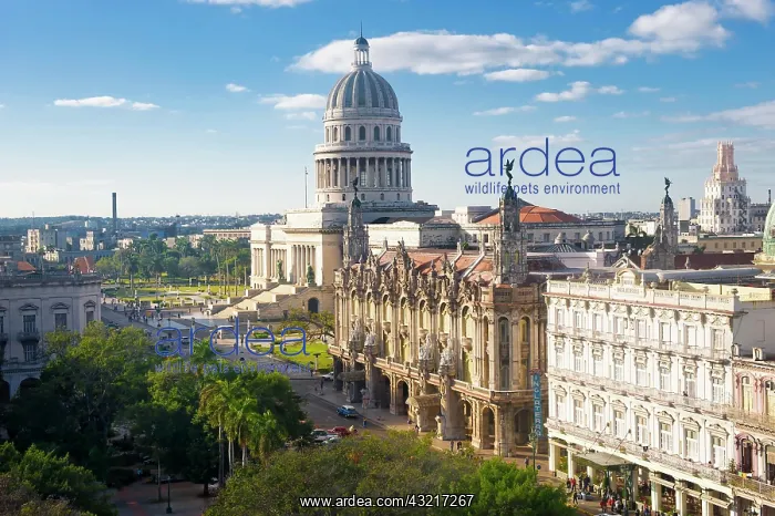 : Gran Teatro, Great Theatre, and Capitolio building : Gran Teatro, Great Theatre, and Capitolio building