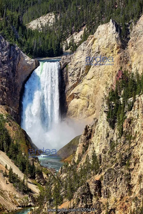: Grand Canyon Artist Point In the Yellowstone National : Grand Canyon Artist Point In the Yellowstone National