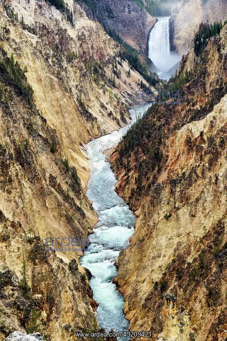  : Grand Canyon Artist Point In the Yellowstone National