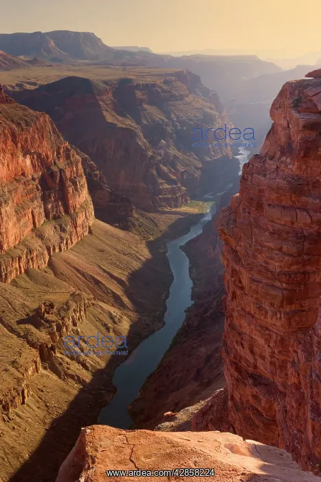 : Grand Canyon and Colorado River - evening at the : Grand Canyon and Colorado River - evening at the