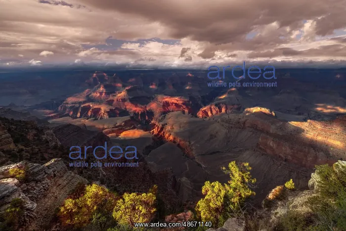 : Grand Canyon National Park, Arizona : Grand Canyon National Park, Arizona