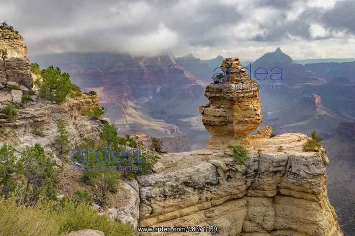 : Grand Canyon National Park, Arizona : Grand Canyon National Park, Arizona