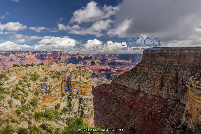 : Grand Canyon National Park, Arizona : Grand Canyon National Park, Arizona