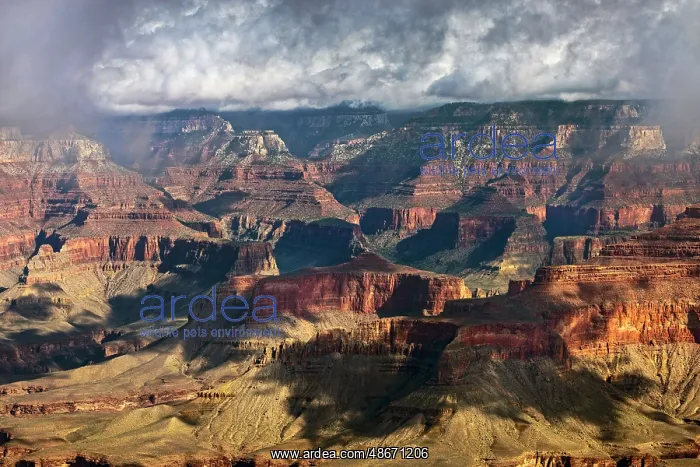 : Grand Canyon National Park, Arizona : Grand Canyon National Park, Arizona