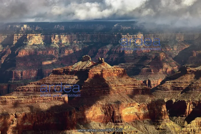 : Grand Canyon National Park, Arizona : Grand Canyon National Park, Arizona