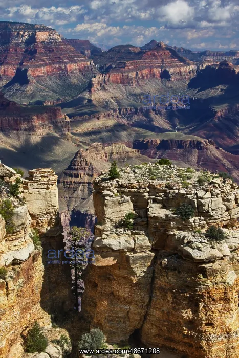 : Grand Canyon National Park, Arizona : Grand Canyon National Park, Arizona