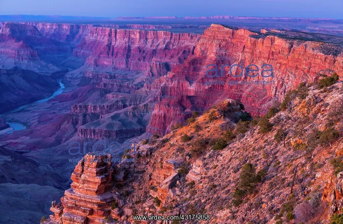 : Grand Canyon National Park, Arizona, Usa, America : Grand Canyon National Park, Arizona, Usa, America
