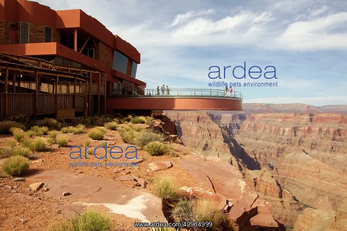  : Grand Canyon National Park - Skywalk built over West Rim