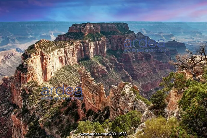 : Grand Canyon North Rim, evening light, Cape Royal : Grand Canyon North Rim, evening light, Cape Royal