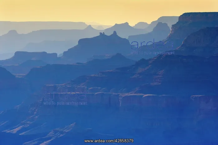  : Grand Canyon - panoramic view from Yaki Point into
