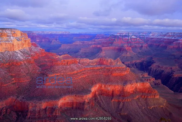 : Grand Canyon - panoramic view from Yavapai Point : Grand Canyon - panoramic view from Yavapai Point