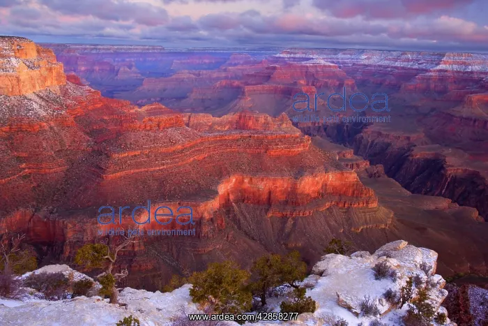 : Grand Canyon - panoramic view from Yavapai Point : Grand Canyon - panoramic view from Yavapai Point