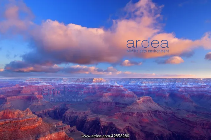 : Grand Canyon - panoramic view from Yavapai Point : Grand Canyon - panoramic view from Yavapai Point