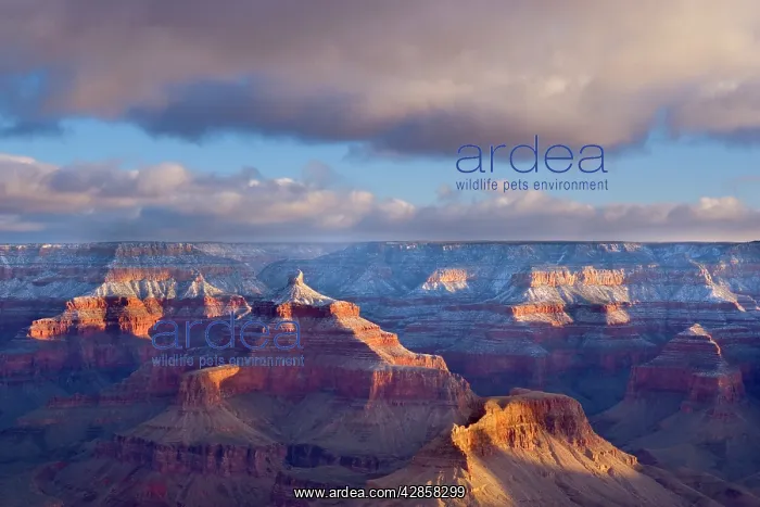 : Grand Canyon - panoramic view from Yavapai Point : Grand Canyon - panoramic view from Yavapai Point
