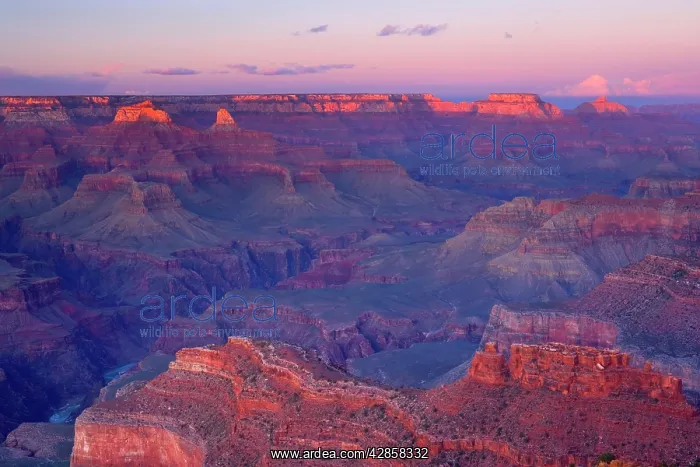 : Grand Canyon - panoramic view from Yavapai Point : Grand Canyon - panoramic view from Yavapai Point