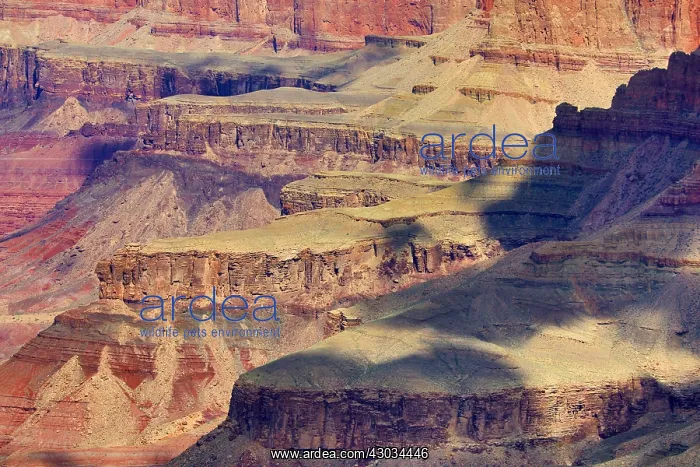 : The Grand Canyon seen from the South Rim at Desert : The Grand Canyon seen from the South Rim at Desert