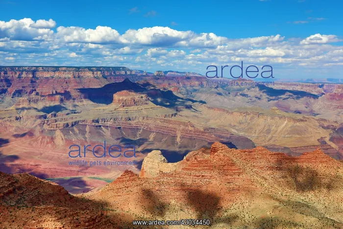 : The Grand Canyon seen from the South Rim at Desert : The Grand Canyon seen from the South Rim at Desert